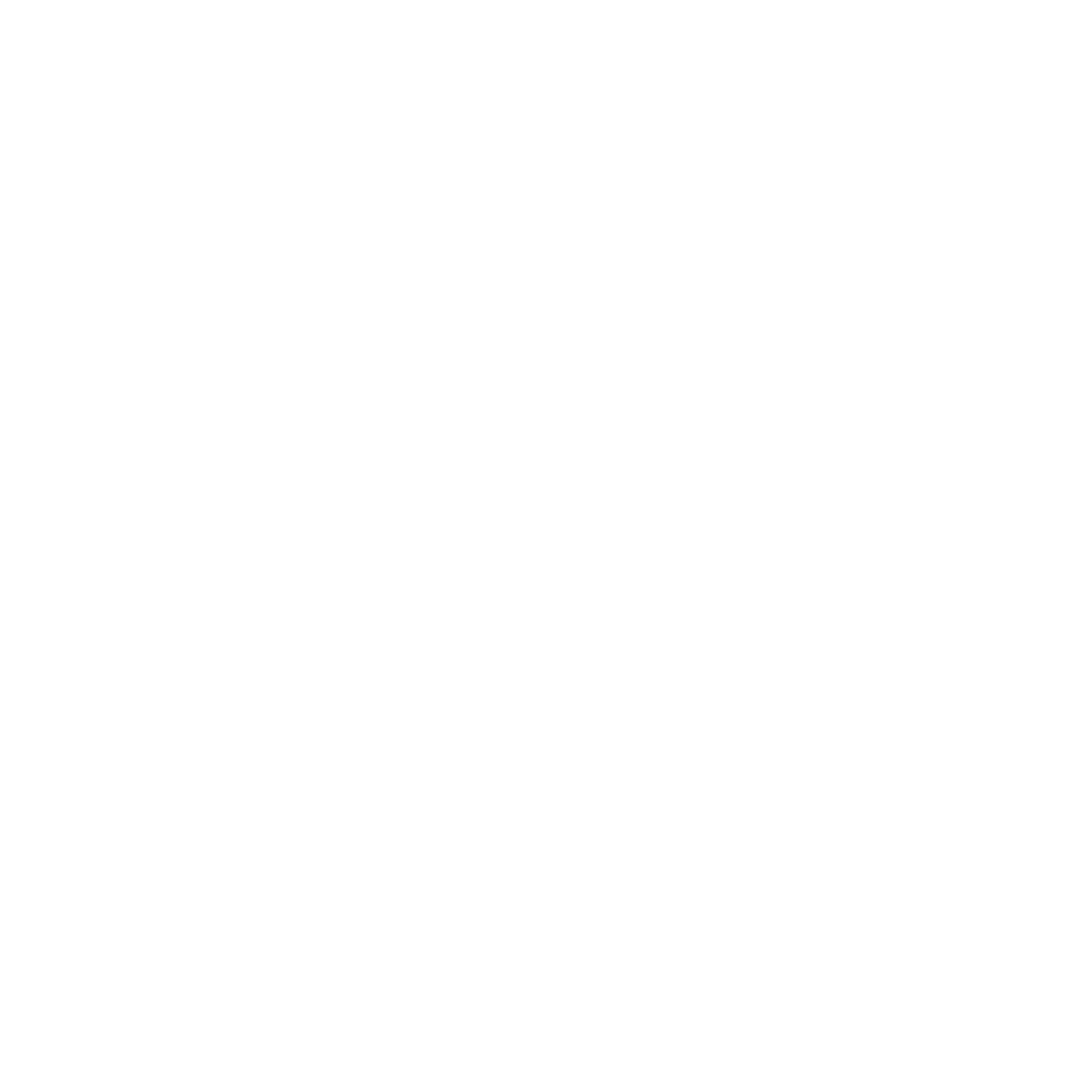 YS Logo